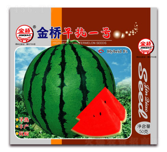 �����翹һ��-��������-������ҵ