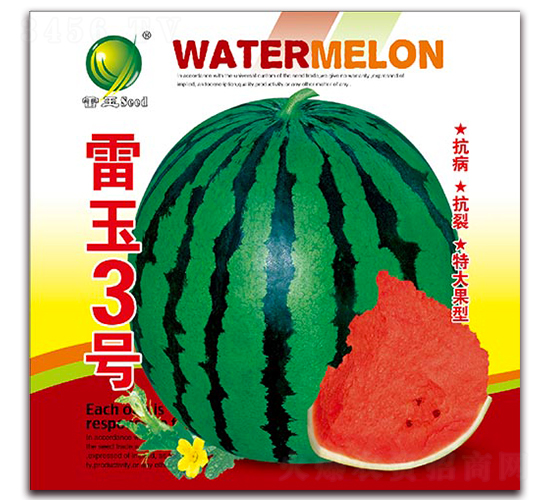 ����3��-��������-������ҵ