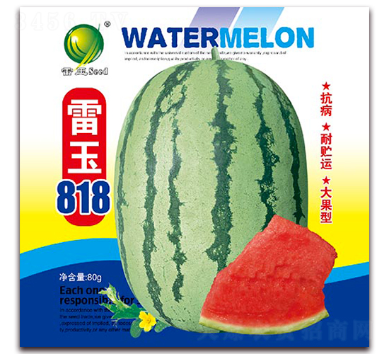 ����818-��������-������ҵ