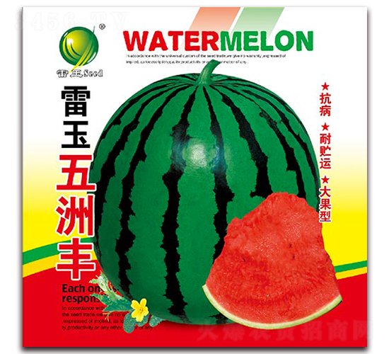 �������޷�-��������-������ҵ