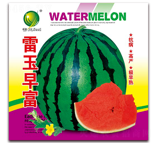 �����縻-��������-������ҵ