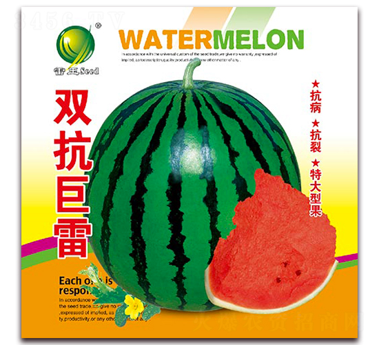 ˫������-��������-������ҵ