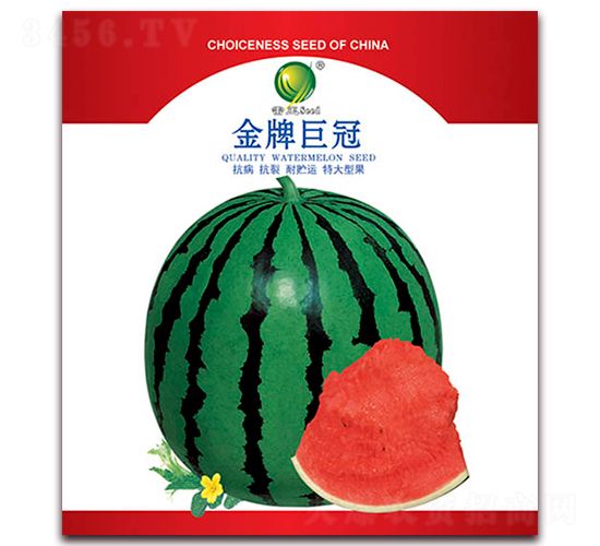 ���ƾ޹�-��������-������ҵ