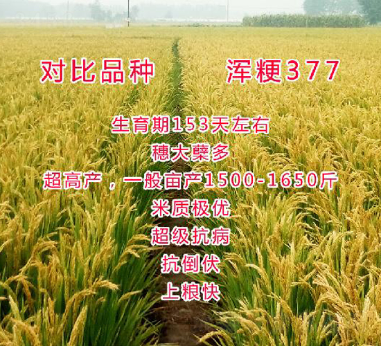 �빣377-ˮ������-������ҵ