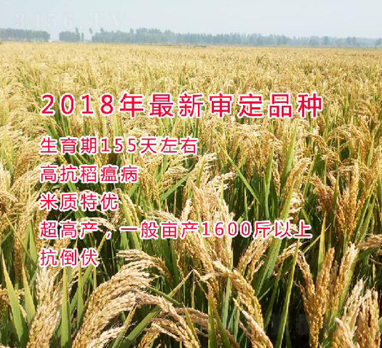 �빣219-ˮ������-������ҵ