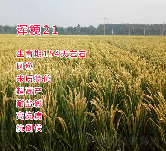 �빣21-ˮ������-������ҵ