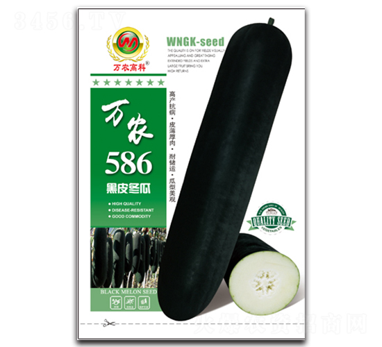 ��ũ586-��������-��ũ�߿�