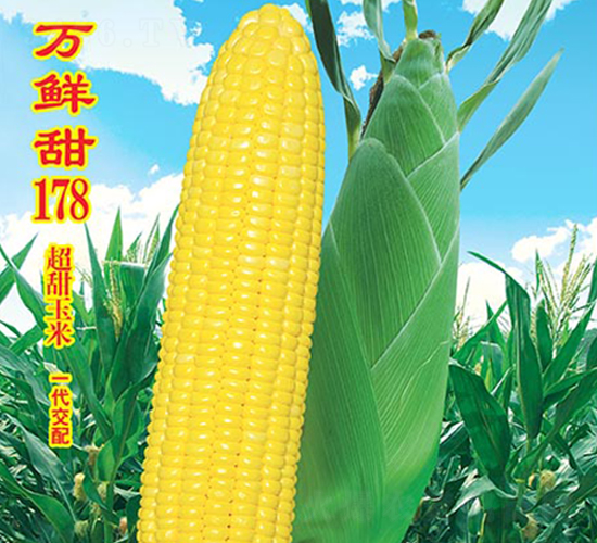 ������178-����������-��ũ�߿�