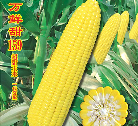 ������159-����������-��ũ�߿�