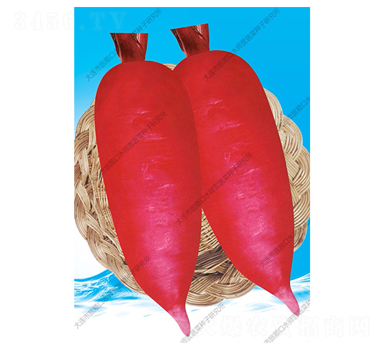 ���ܲ�-�ܲ�����-ˮʦӪ