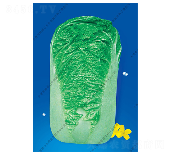 ˮʦӪ15��-�ײ�����-ˮʦӪ