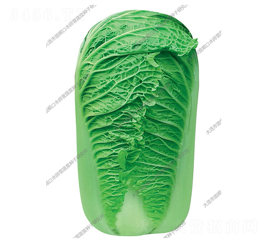 ˮʦӪ��������-�ײ�����-ˮʦӪ