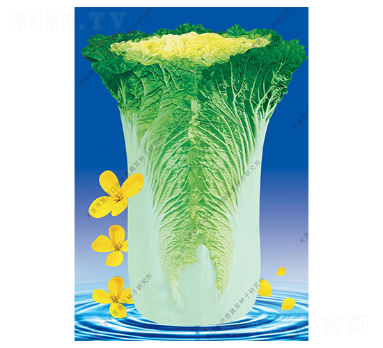 ˮʦӪ11��-�ײ�����-ˮʦӪ
