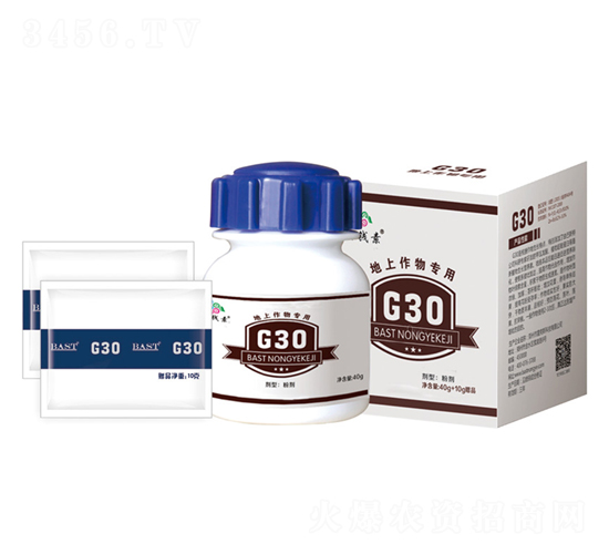 �������������ײ�-G30-ҡǮ������