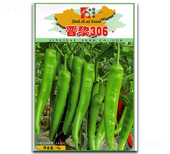 ����306-��������-������