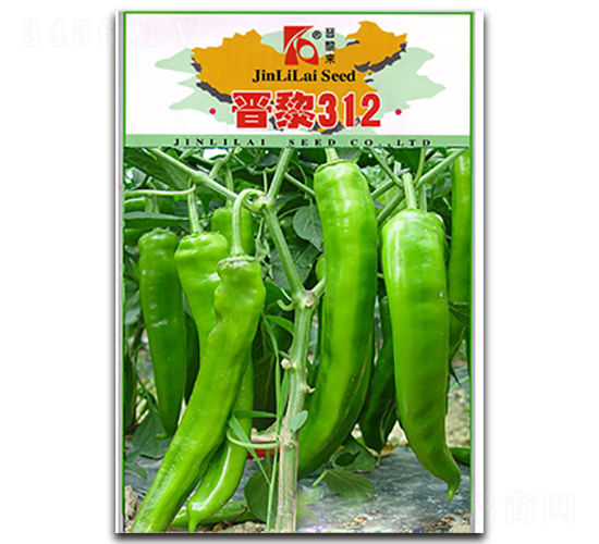 ����312-��������-������