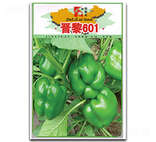 ����601-��������-������