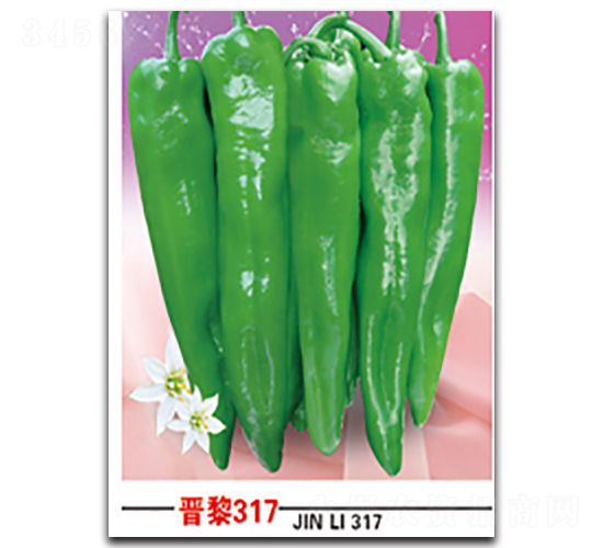 ����317-��������-������