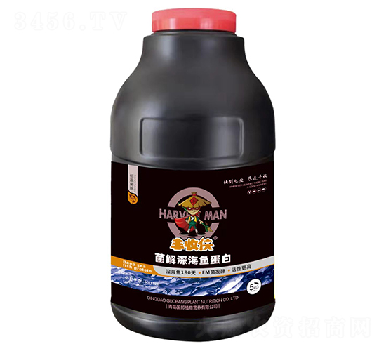 ø����㵰��-������-����ֲ��