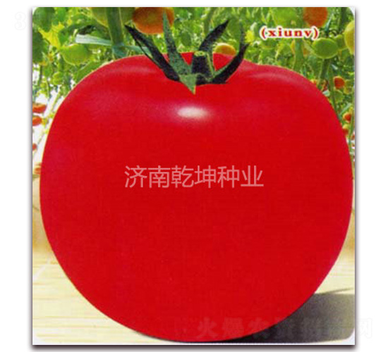 ��Ů-��������-Ǭ����ҵ