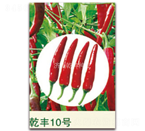 Ǭ��10��-��������-Ǭ����ҵ