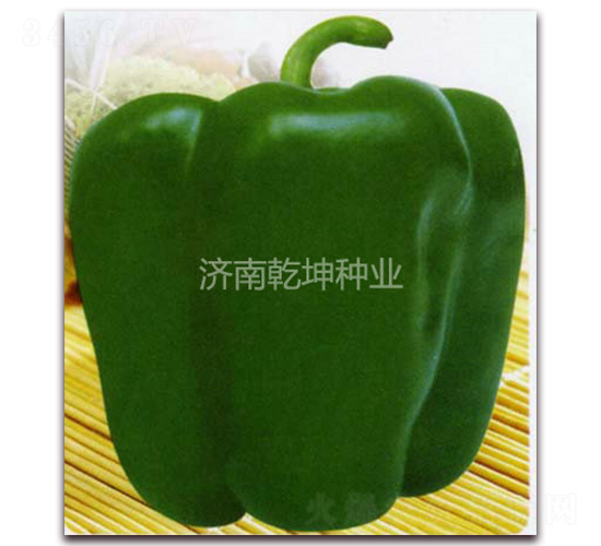 ˳������-������-Ǭ����ҵ