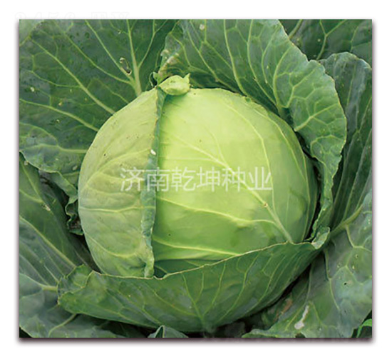 �����̹�45-��������-Ǭ����ҵ