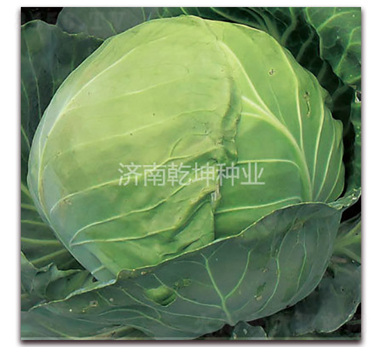 �ձ�����-��������-Ǭ����ҵ