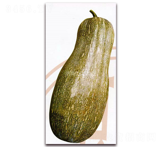 Ǭ�������۱�-�Ϲ�����-Ǭ����ҵ