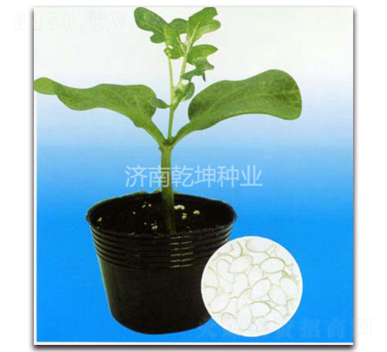 ��Ӯ����-��ľ����-Ǭ����ҵ