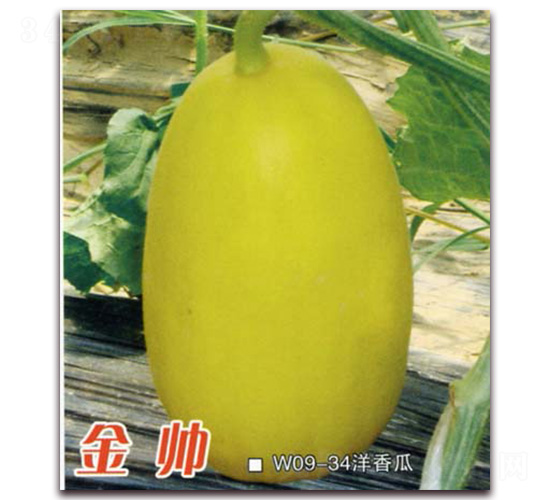 ��˧-�������-Ǭ����ҵ