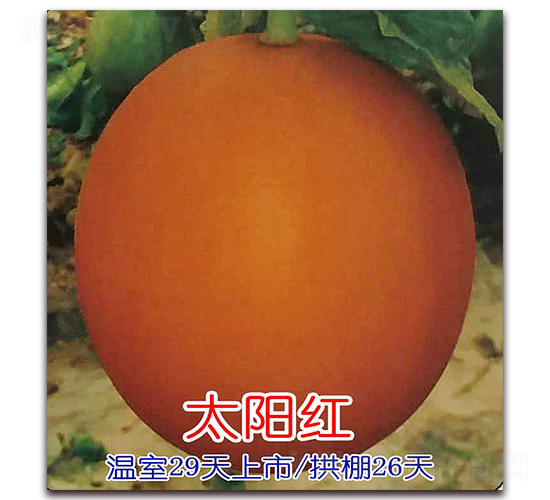 ̫����-�������-Ǭ����ҵ