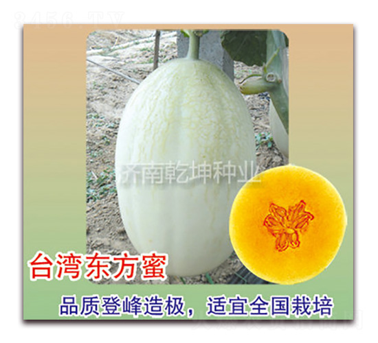 ̨�嶫����-���ܹ�����-Ǭ����ҵ