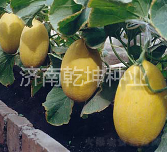 ����-���ܹ�����-Ǭ����ҵ