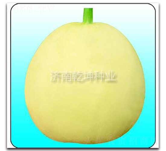Ǭ��2��-�������-Ǭ����ҵ