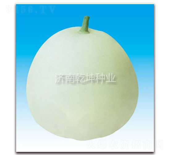 ��ѩ��-�������-Ǭ����ҵ