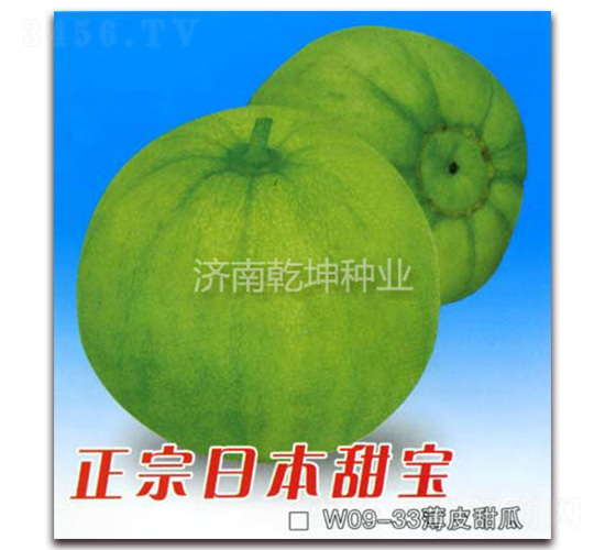 �����ձ���-�������-Ǭ����ҵ