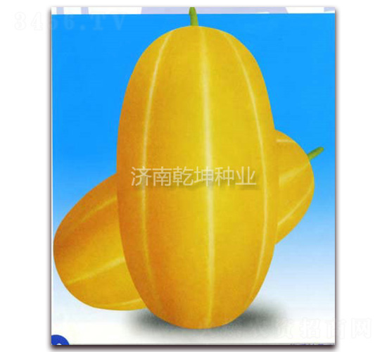��-�������-Ǭ����ҵ