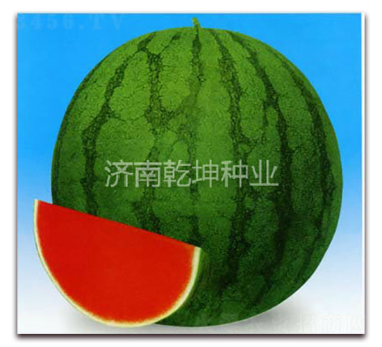����һ��-��������-Ǭ����ҵ