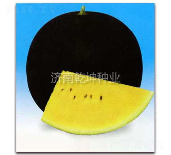 ����-��������-Ǭ����ҵ