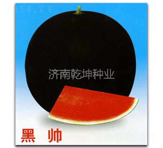 ��˧-��������-Ǭ����ҵ