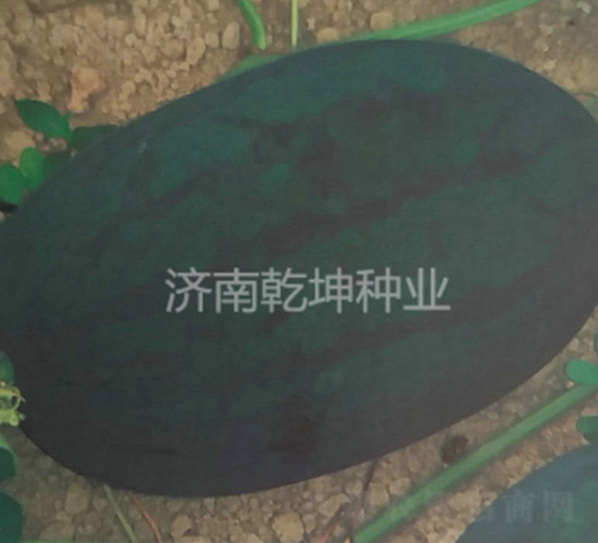 ̨����������-��������-Ǭ����ҵ