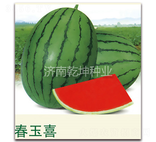 ����ϲ-��������-Ǭ����ҵ