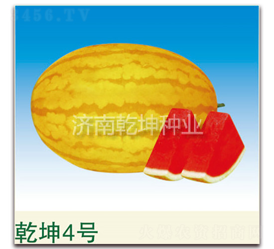 Ǭ��4��-��������-Ǭ����ҵ