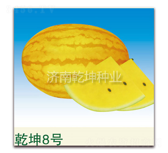 Ǭ��8��-��������-Ǭ����ҵ