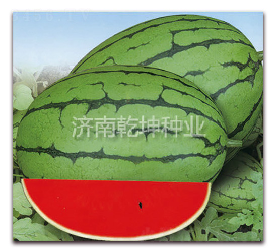 �ļ���-��������-Ǭ����ҵ