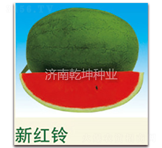 �º���-��������-Ǭ����ҵ