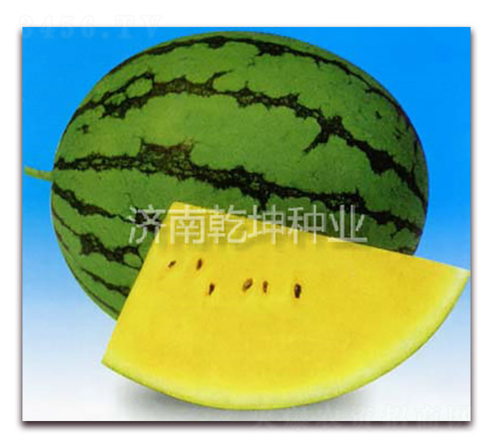 ����-��������-Ǭ����ҵ
