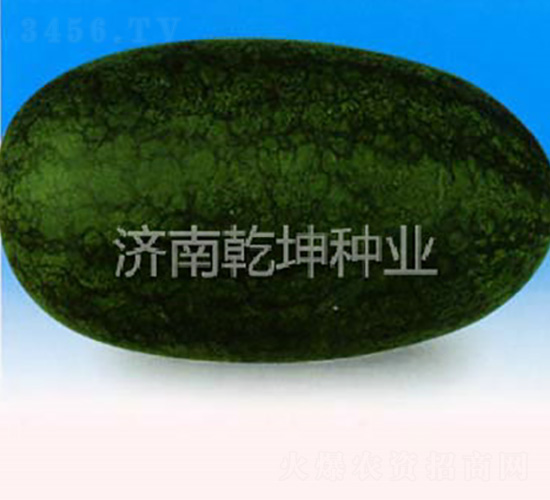 ������-��������-Ǭ����ҵ