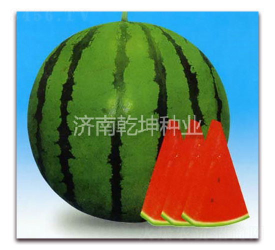 ��Ʒ���-��������-Ǭ����ҵ